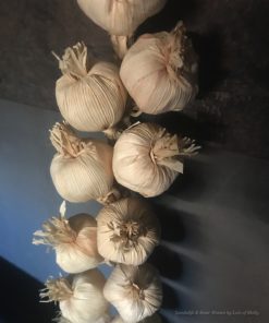 Namaak knoflook streng