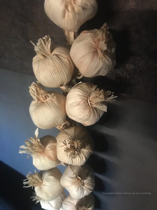 Namaak knoflook streng