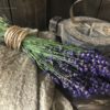 Heerlijk geurend bosje Lavendel