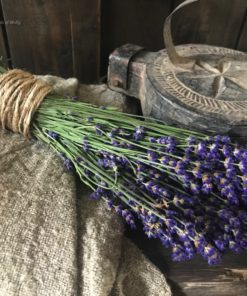 Heerlijk geurend bosje Lavendel