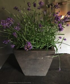 Houten bak Aura Peeperkorn