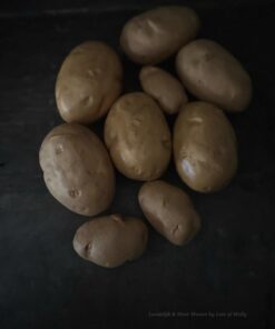 Namaak aardappelen