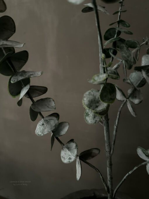 Kunst siertak Eucalyptus 02