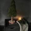 kerstboom rond mos Landelijk Woonaccessoires Stoer Sober