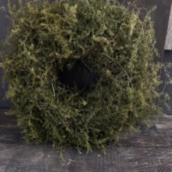 Krans Asparagus