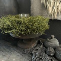 Krans Asparagus