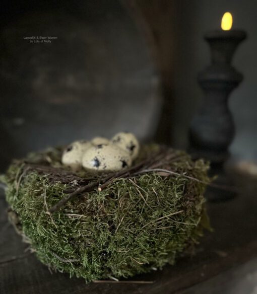 Nest krans mos Kwartel eieren