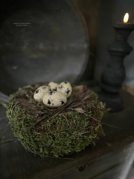 Nest krans mos Kwartel eieren