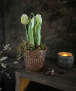 Kunst Wit Tulpen mos zink ribbel pot Landelijke Woonaccessoires Stoer Sober