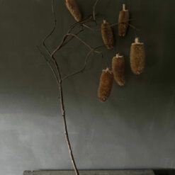 Kunsttak Grote Kaardenbol 03