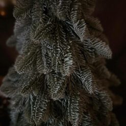 Nobilis Boom 03