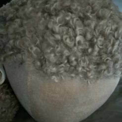 Decoratie Eikel Fluweel 25 02