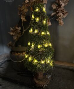 Kerstboom Mos 50 02