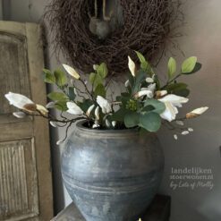 Magnolia knop tak Kelsey