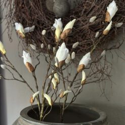 Magnolia knop tak Kelsey