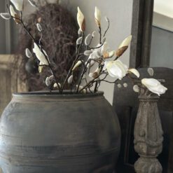 Magnolia knop tak Kelsey