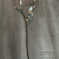 Magnolia knop tak Kelsey