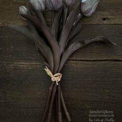 Bos Kunsttulpen Grijze Tulpen