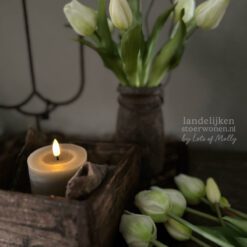 Bos kunst Tulpen cream 31