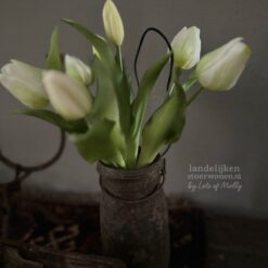 Bos kunst Tulpen cream 31