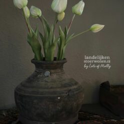 Bos kunst Tulpen creme 45