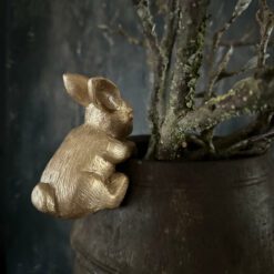 Haas Hangend Goud 02
