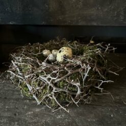 Nestkrans Mos Bonsai 01