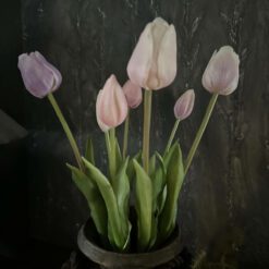 Tulpenbos 2 02