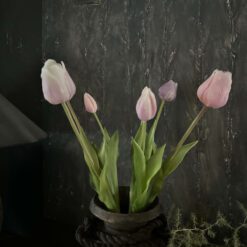 Tulpenbos 2 04