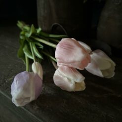 Tulpenbos 2 05