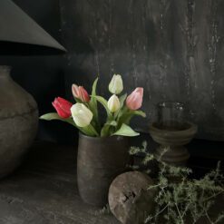 Tulpenbos 3 04