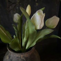 Tulpenbos 9 Off White 02