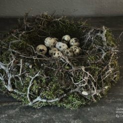 Nestkrans Mos Bonsai Takjes 26