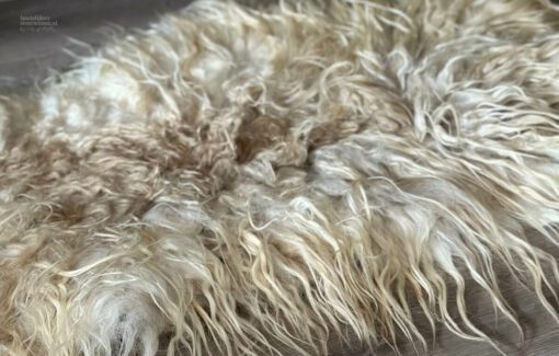 Gevilte schapenvacht blond – drents heideschaap 08
