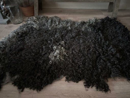 gottland krullen gevilte schapenvacht 2 11