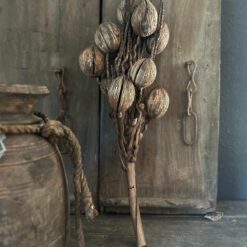 Coco finger branch 03