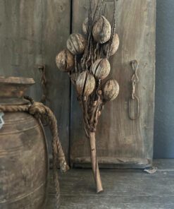 Coco finger branch 03