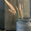 Kunsttak pennisetum 01