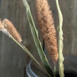 Kunsttak pennisetum 02