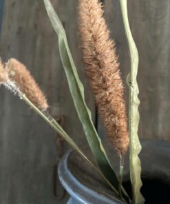 Kunsttak pennisetum 02