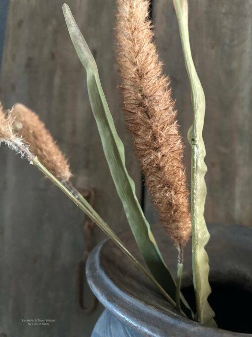 Kunsttak pennisetum 02