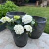 Zinken plantenpot set 01