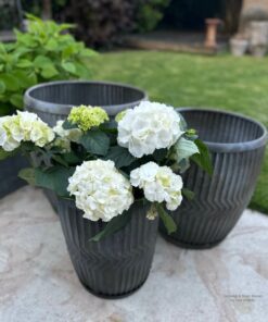 Zinken plantenpot set 01