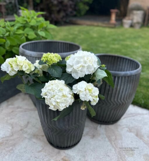 Zinken plantenpot set 01