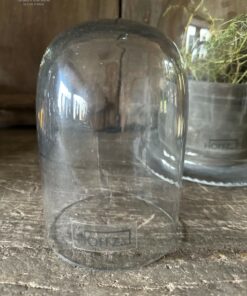 Glazen stolp s hoffz 02