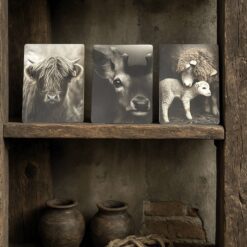 Houten decoratie bordjes
