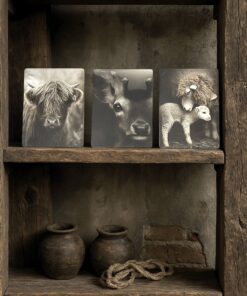 Houten decoratie bordjes