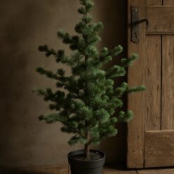 Larix l 03
