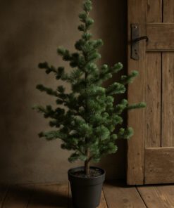 Larix l 03