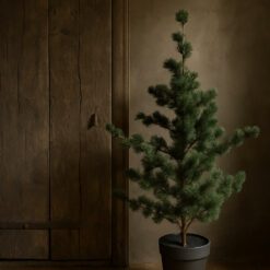 Larix m 01
